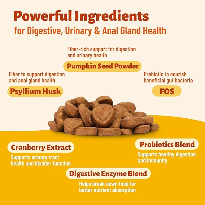 7.76oz Canine Daily Gut Health Chews, Pumpkin Seed, Psyllium Husk & Probiotic Formula, Gentle Nutritional Support for Overall Body Comfort