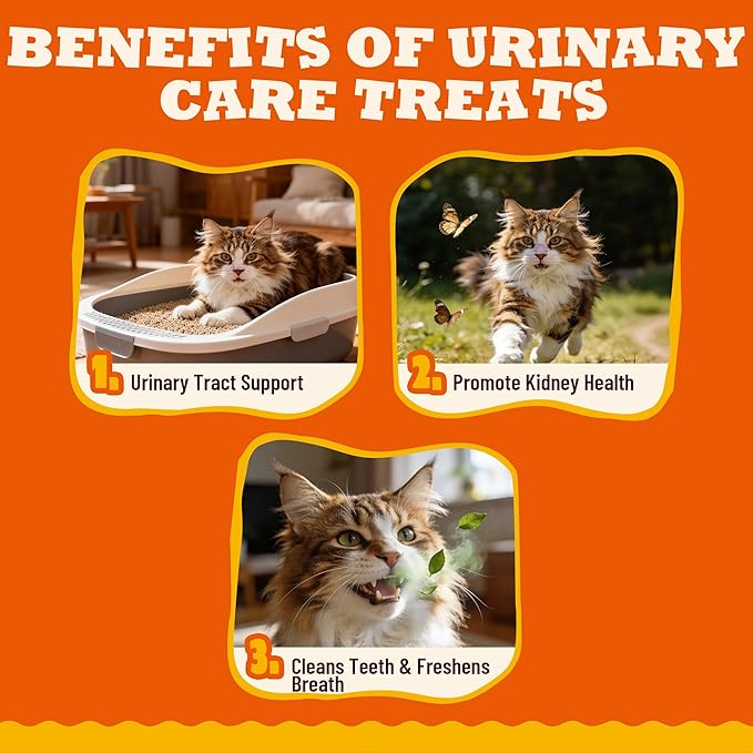 9 oz Chicken Flavor Cat Treats, Urinary & Kidney Support, Training Treats for Indoor Cats