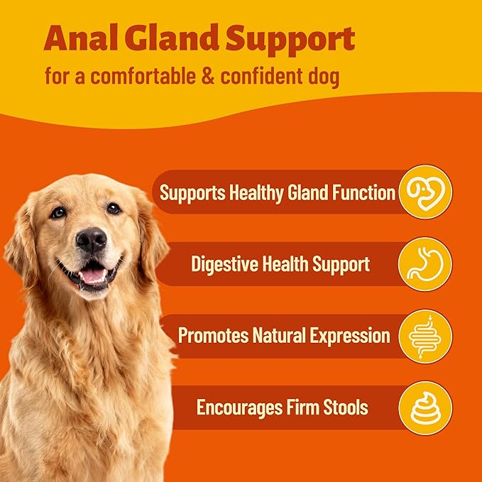 7.76oz Canine Daily Gut Health Chews, Pumpkin Seed, Psyllium Husk & Probiotic Formula, Gentle Nutritional Support for Overall Body Comfort