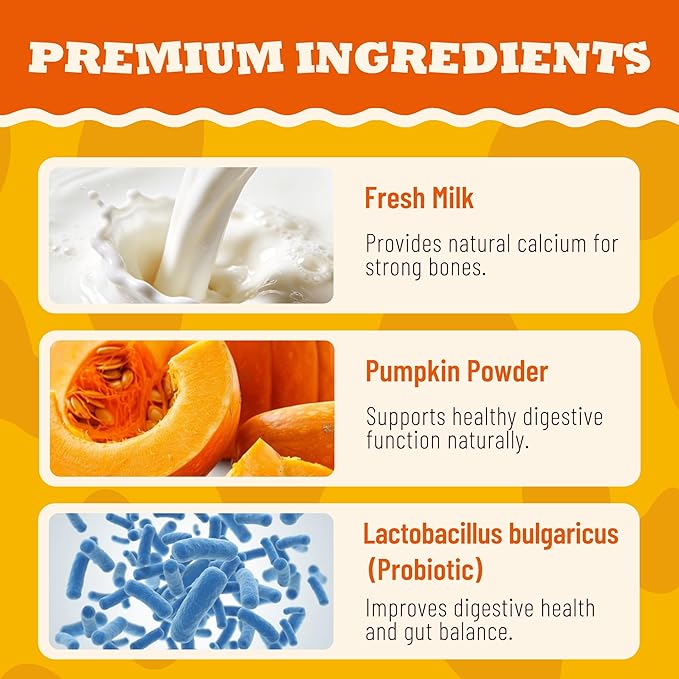 14.1oz Pumpkin Cheese Dog Treats, High-Protein Natural Chewy Training Snacks for Digestive & Calcium Support