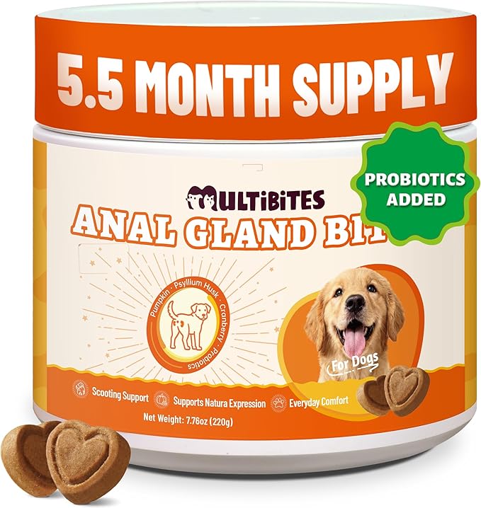 7.76oz Canine Daily Gut Health Chews, Pumpkin Seed, Psyllium Husk & Probiotic Formula, Gentle Nutritional Support for Overall Body Comfort