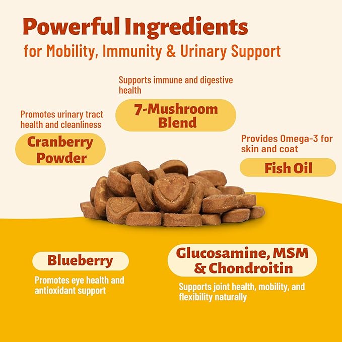 330 Chews Dog Mushroom Wellness Bites, 7-Mushroom Complex with Turkey Tail, Lion's Mane & Reishi, Daily Nutritional Antioxidant Blend, Gentle Support for Immune, Gut, Skin, Joint and Urinary Wellness