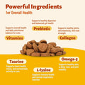 24-in-1 cat vitamin chews with lysine, taurine, and essential nutrients. Daily supplement for indoor and senior cats. 330 chewable bites. 没标sku