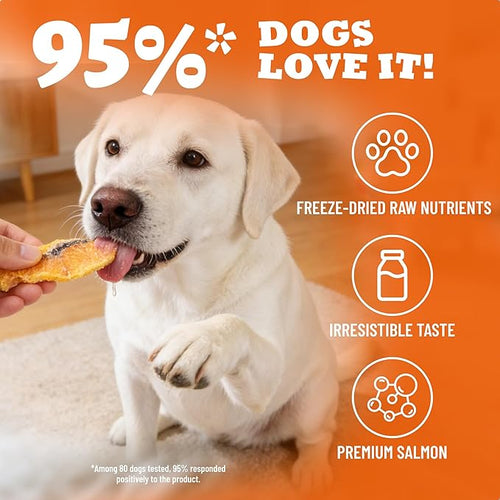 14.1oz Freeze Dried Salmon Dog Treats, Single Ingredient with Wild Caught Salmon & Omega-3, High Protein Grain-Free Training Treats & Food Toppers for Puppies
