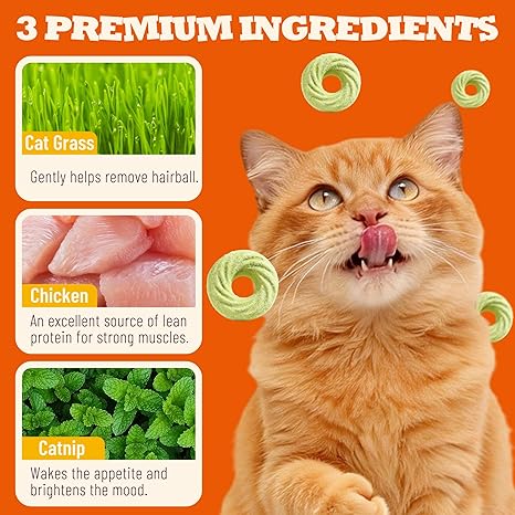 Catnip Flavor Cat Grass Treats 8 oz Hairball Control Healthy Cat Training Biscuits