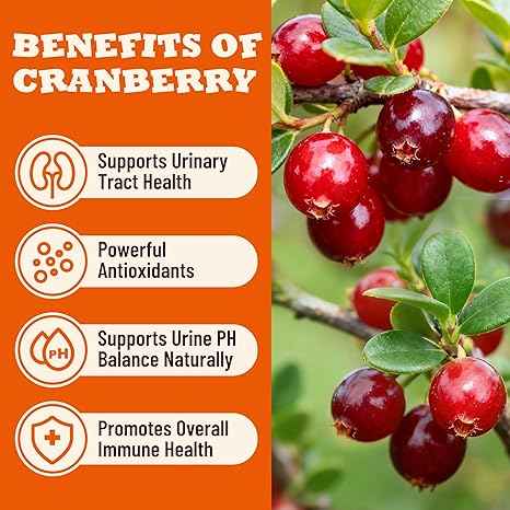 13.05 oz Chicken & Cranberry Flavor Crunchy Cat Treats, Urinary Tract & Kidney Support for Kittens