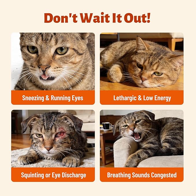 L-Lysine Cat Chews, Chicken Flavor Daily Supplements with Taurine, Omega 3 & Multivitamins, Immune, Respiratory & Eye Support Snacks for Cats and Kittens