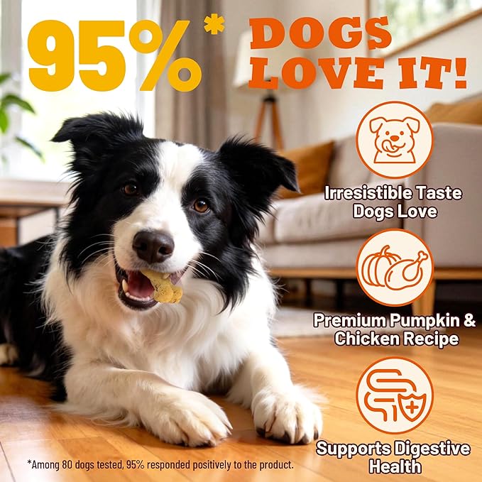 Pumpkin Dog Treats for Sensitive Stomachs, Limited Ingredient Crunchy Chicken Biscuits, Healthy Training Snacks for Puppies, Small Medium & Large Breeds, 25 oz