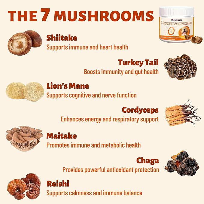 330 Chews Dog Mushroom Wellness Bites, 7-Mushroom Complex with Turkey Tail, Lion's Mane & Reishi, Daily Nutritional Antioxidant Blend, Gentle Support for Immune, Gut, Skin, Joint and Urinary Wellness