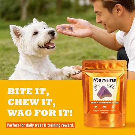 5 oz Beef & Blueberry Bites Soft Dog Treats, High Protein Chewy Training Treats with Antioxidant Support