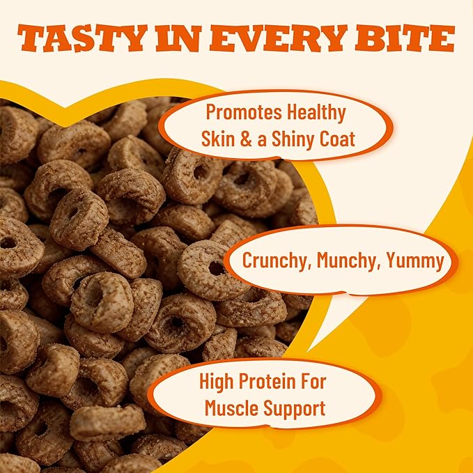 10.58 oz Salmon Flavor Shrimp Cat Treats, Skin & Coat Support Training Snacks for Indoor Cats