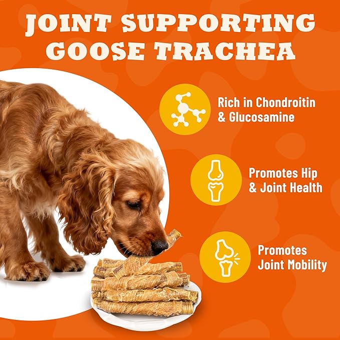 6 oz Chicken & Goose Trachea Wraps Dog Treats, Gluten-Free High Protein Low Fat, Digestive & Joint Support with Collagen
