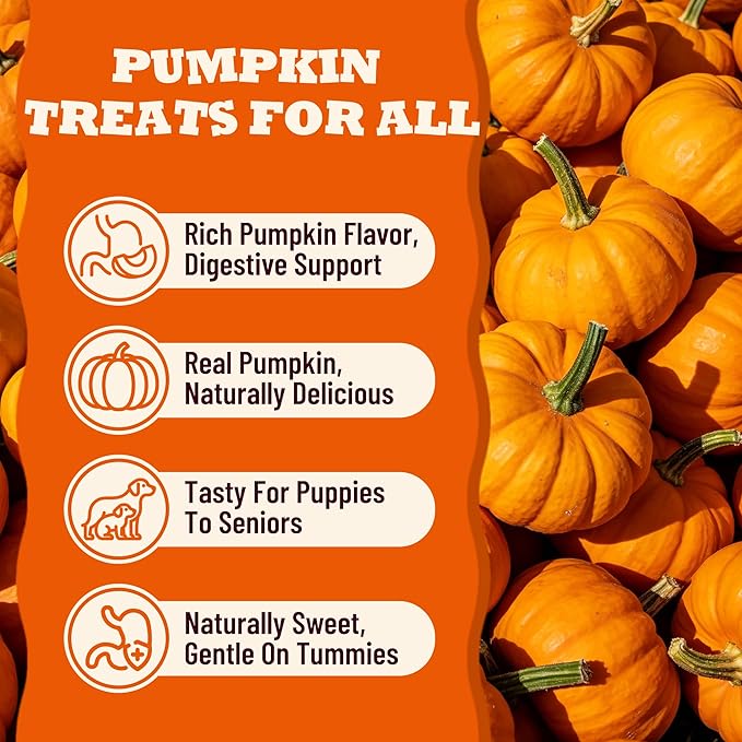 Pumpkin Dog Treats for Sensitive Stomachs, Limited Ingredient Crunchy Chicken Biscuits, Healthy Training Snacks for Puppies, Small Medium & Large Breeds, 25 oz