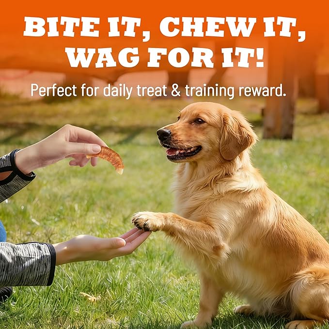 Chicken Wrapped Coconut Dog Treats, Healthy Training Snacks for Small & Medium Dogs, 3.53 oz
