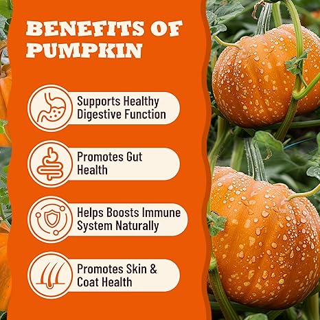 13.05oz Pumpkin Treats for Cats & Dogs with Egg Yolk Creamy Core, Crunchy & Soft Snacks for Skin, Coat & Gut Support