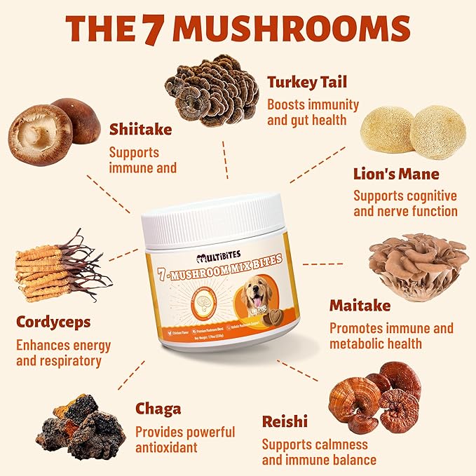 330 Chews Dog Mushroom Wellness Bites, 7-Mushroom Complex with Turkey Tail, Lion's Mane & Reishi, Daily Nutritional Antioxidant Blend, Gentle Support for Immune, Gut, Skin, Joint and Urinary Wellness