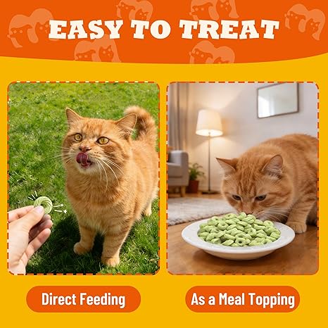 Catnip Flavor Cat Grass Treats 8 oz Hairball Control Healthy Cat Training Biscuits