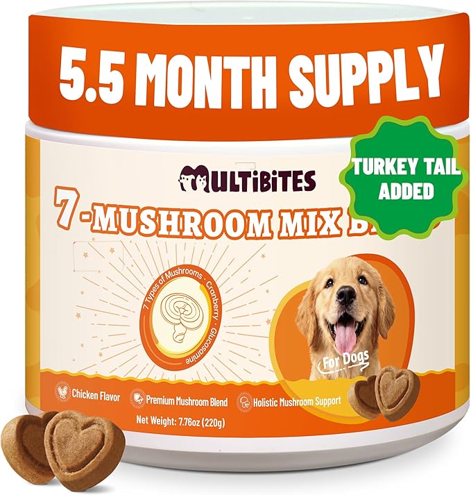 330 Chews Dog Mushroom Wellness Bites, 7-Mushroom Complex with Turkey Tail, Lion's Mane & Reishi, Daily Nutritional Antioxidant Blend, Gentle Support for Immune, Gut, Skin, Joint and Urinary Wellness