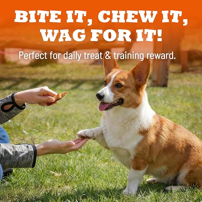 5.29 oz Chicken Cheese Dog Jerky, Grain-Free Natural Healthy Training Treats for All Dogs